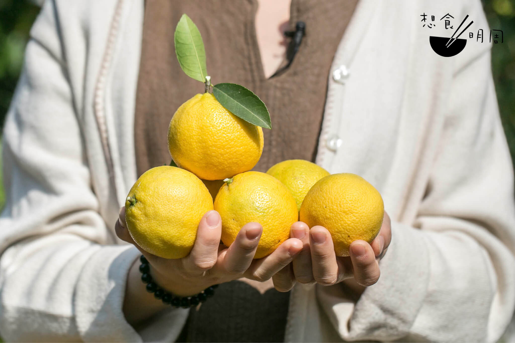 皮薄，所以摸上手軟軟的；成熟時汁水豐盛、墜手。