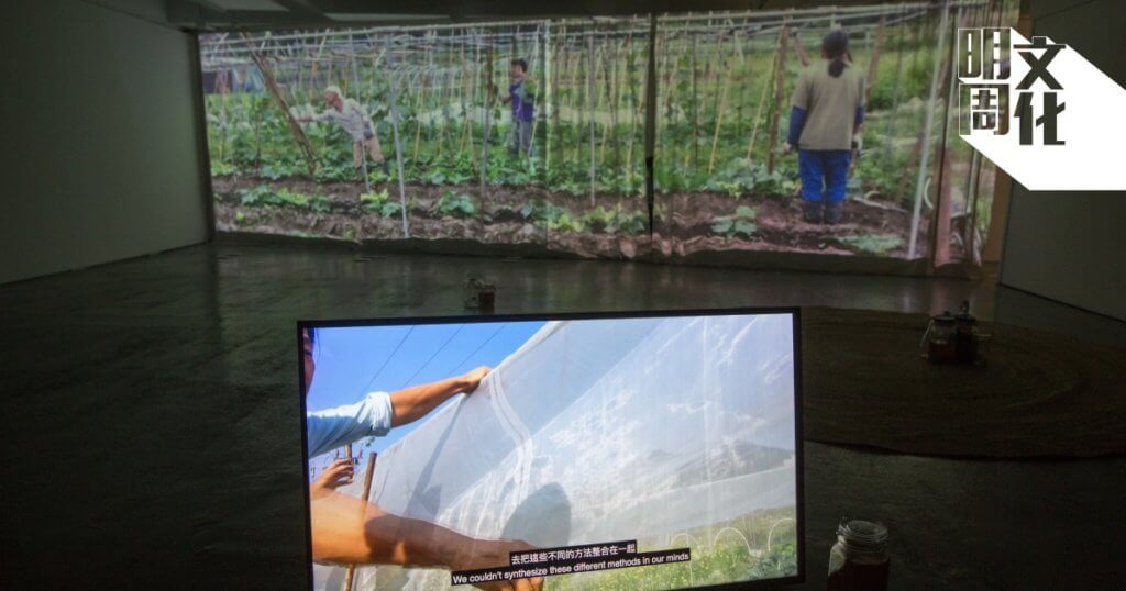 展覽在農務影像記錄中穿插了麗麗與生活館農耕者的對話，藉以溝通理解。