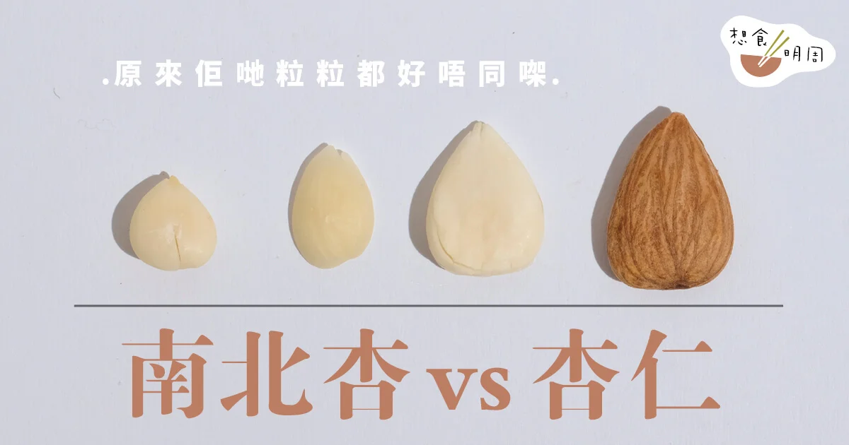 堅果百科：南、北杏屬性大不同 你知道哪種杏仁不能當零食吃？ -飲食- 明周文化