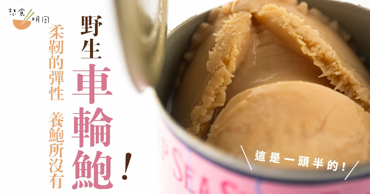 因為野生所以矜貴 在香港魚翅撈飯的年代 車輪鮑 一同盛世 飲食 明周文化