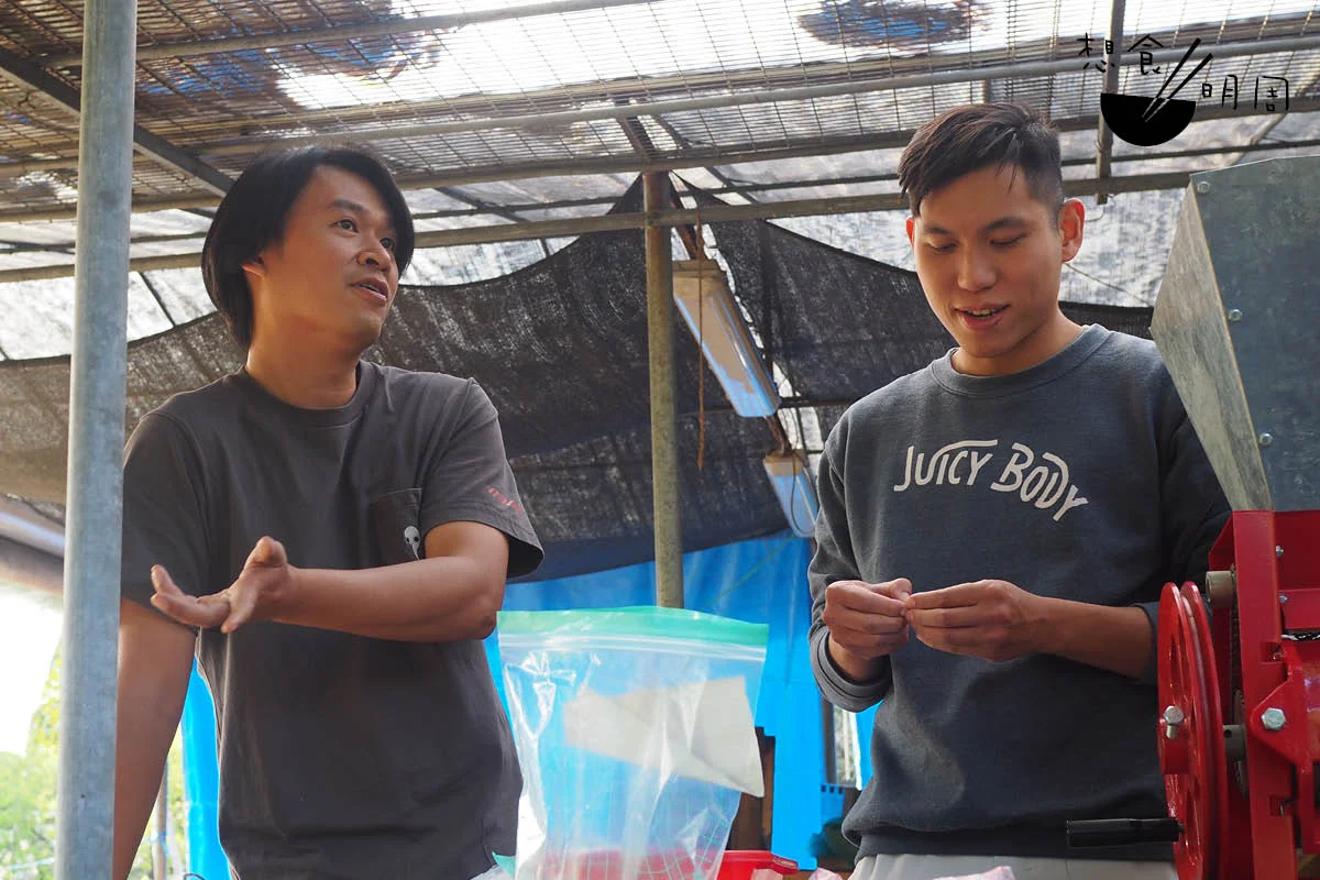 在粉嶺的另一邊廂，沈海鵬（Mike，左）和歐祖華（Gary，右）亦合作無間，希望在短時間內提升香港咖啡的風味。