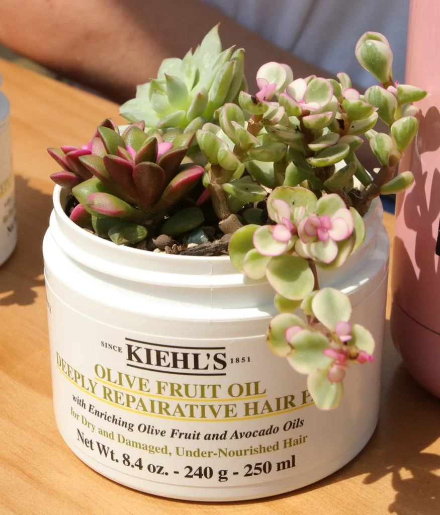 kiehls-upcycling-plant-1313x1536