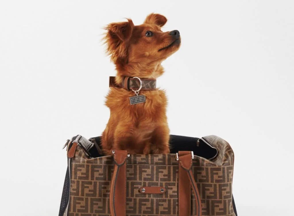 fendi_pet_trave-56294144111-original-1-1221x900