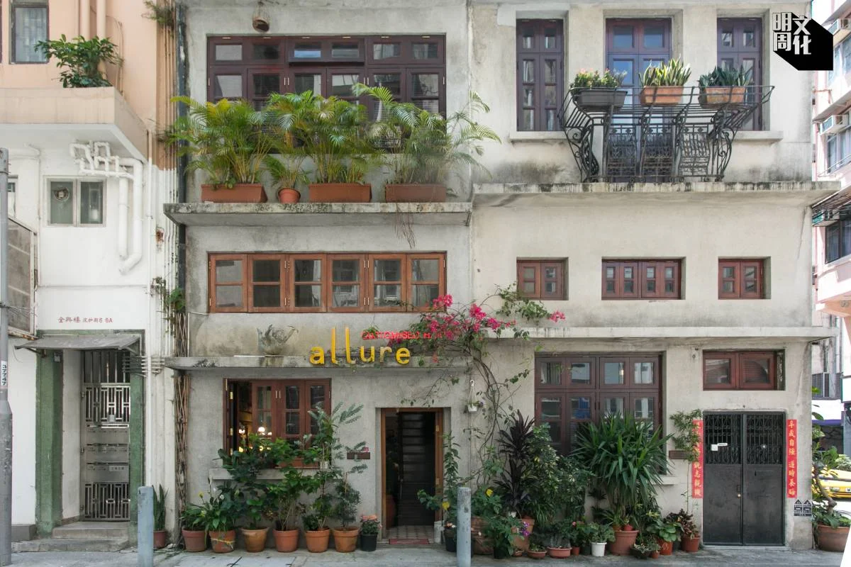 Plant Stories 惜花者nelson 大坑 花屋 美化社區 設計 明周文化