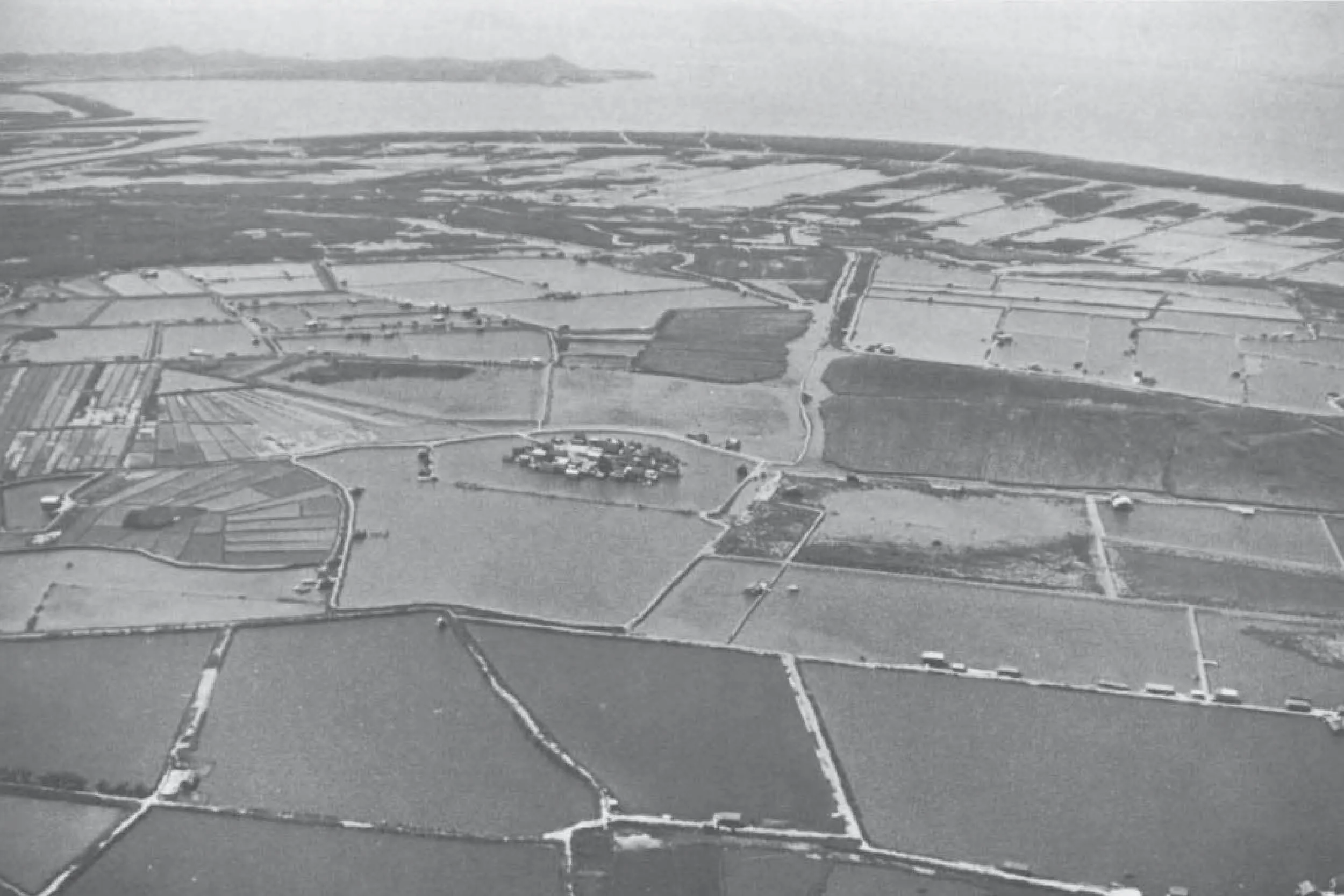 后海灣濕地，一九六六年。照片由香港觀鳥會提供