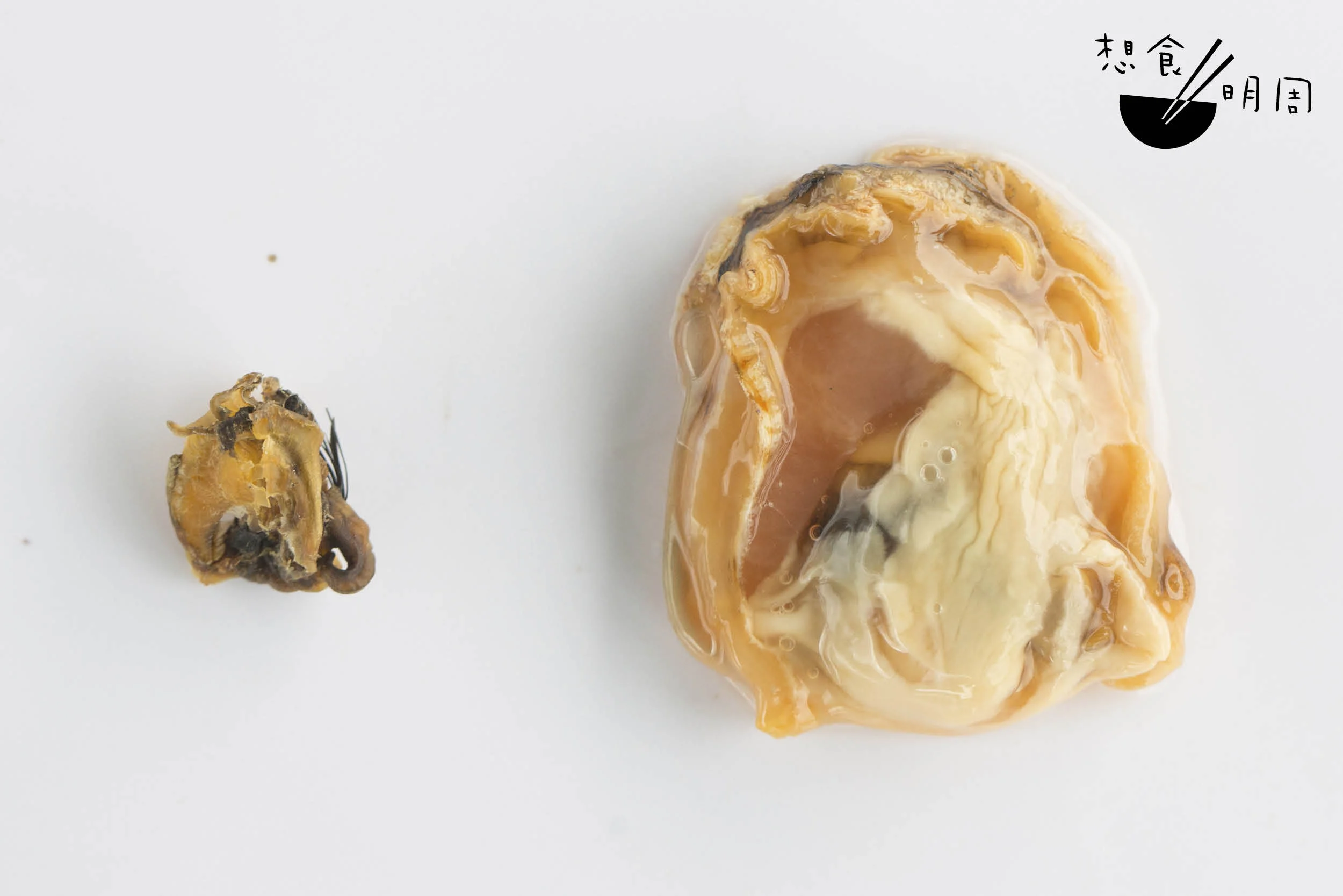 新鮮貝肉（右）vs 乾貝肉（左）