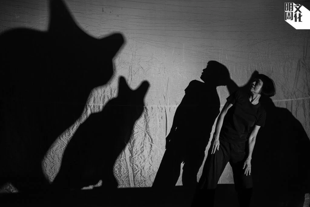 梅卓燕於新作《日記VII．我來給你講個故事⋯⋯》中，利用光影效果與貓共舞。