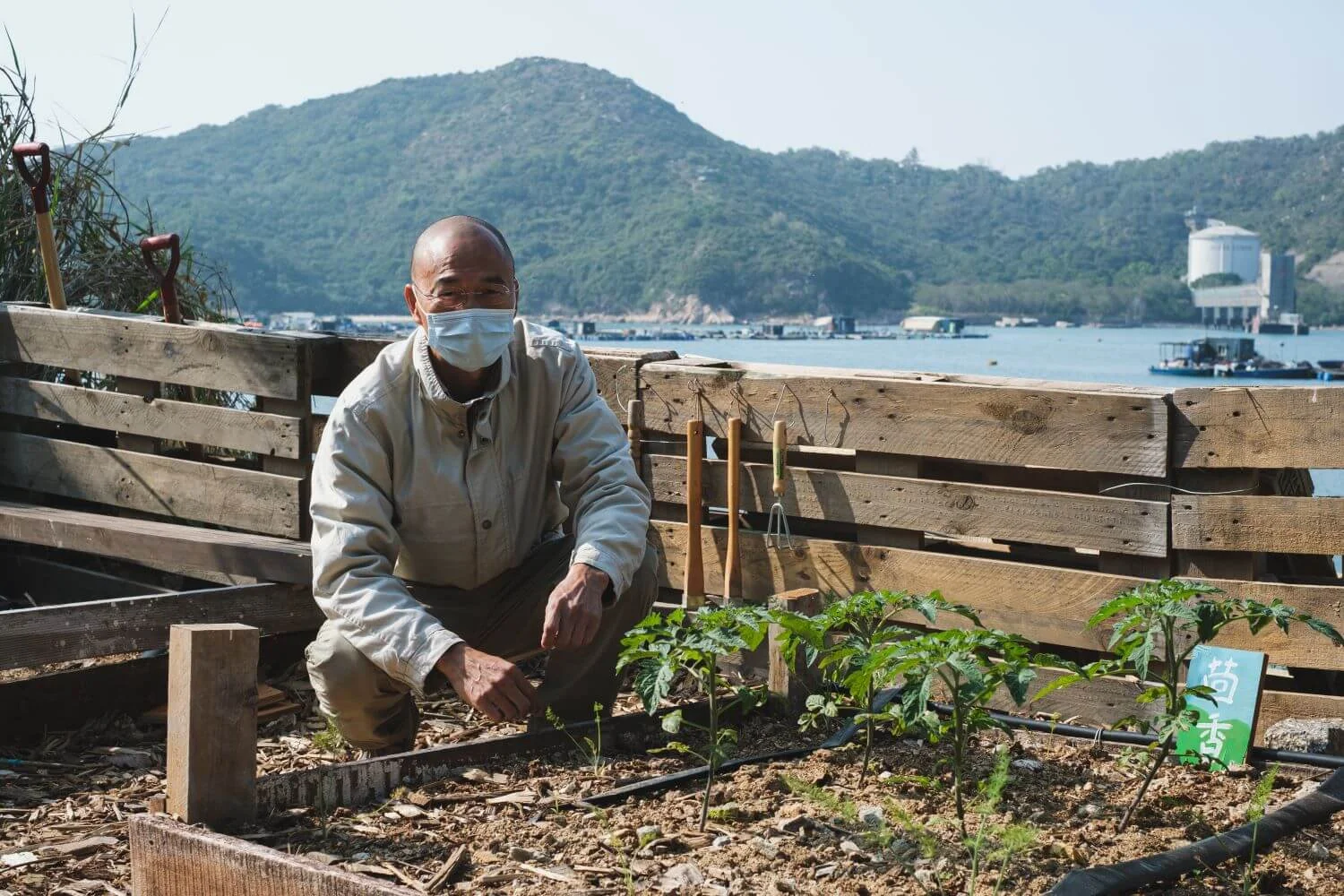 藝術家何遠良創作《索罟社區菜園》，利用當地的泥土和水資源培養出地道食材。