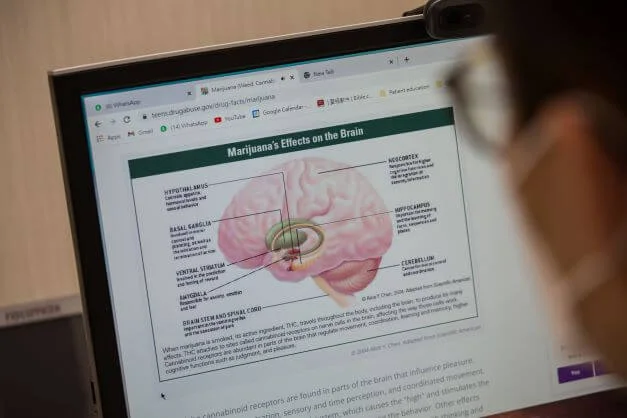 有研究顯示若年輕時開始吸食大麻，到三十多歲時智商有機會下跌多達8至10分，吸食大麻者患上思覺失調的機會更比正常人高幾倍。