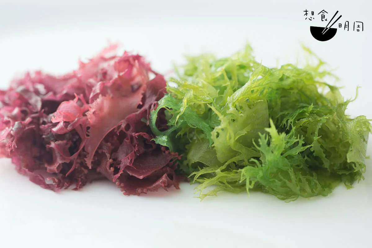 龍鬚菜（Ogonori）有海洋氣息， 日本人愛用它來作沙律菜。