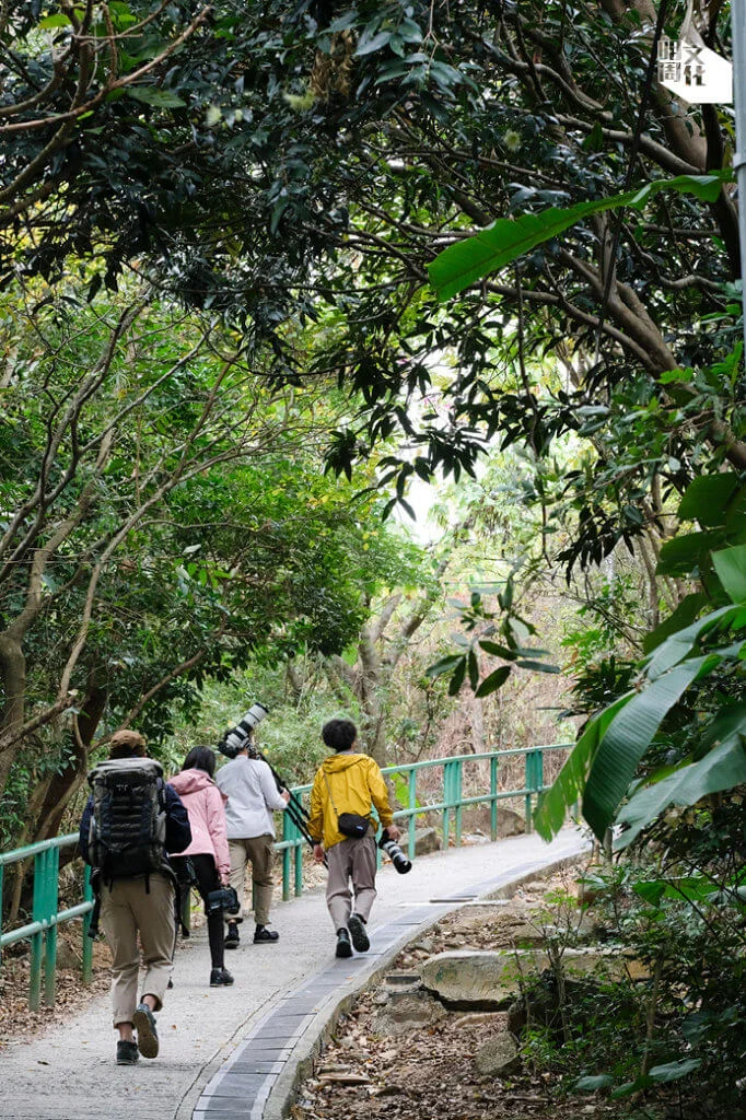 這隊年輕的攝影團隊，努力開拓本地生態紀錄片之路，將多姿多彩的香港動植物世界，呈現觀眾眼前。