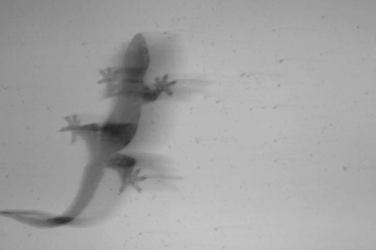 %e6%9c%aa%e5%91%bd%e5%90%8d%e8%a8%ad%e8%a8%88