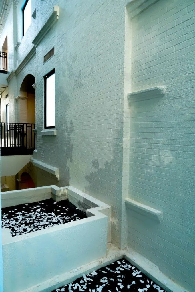 牆上投映出不時隨風晃動的枝葉、飛鳥的倒影,同場播放收錄於觀鳥園的鳥聲,公園猶如伸延入藝術中心內。