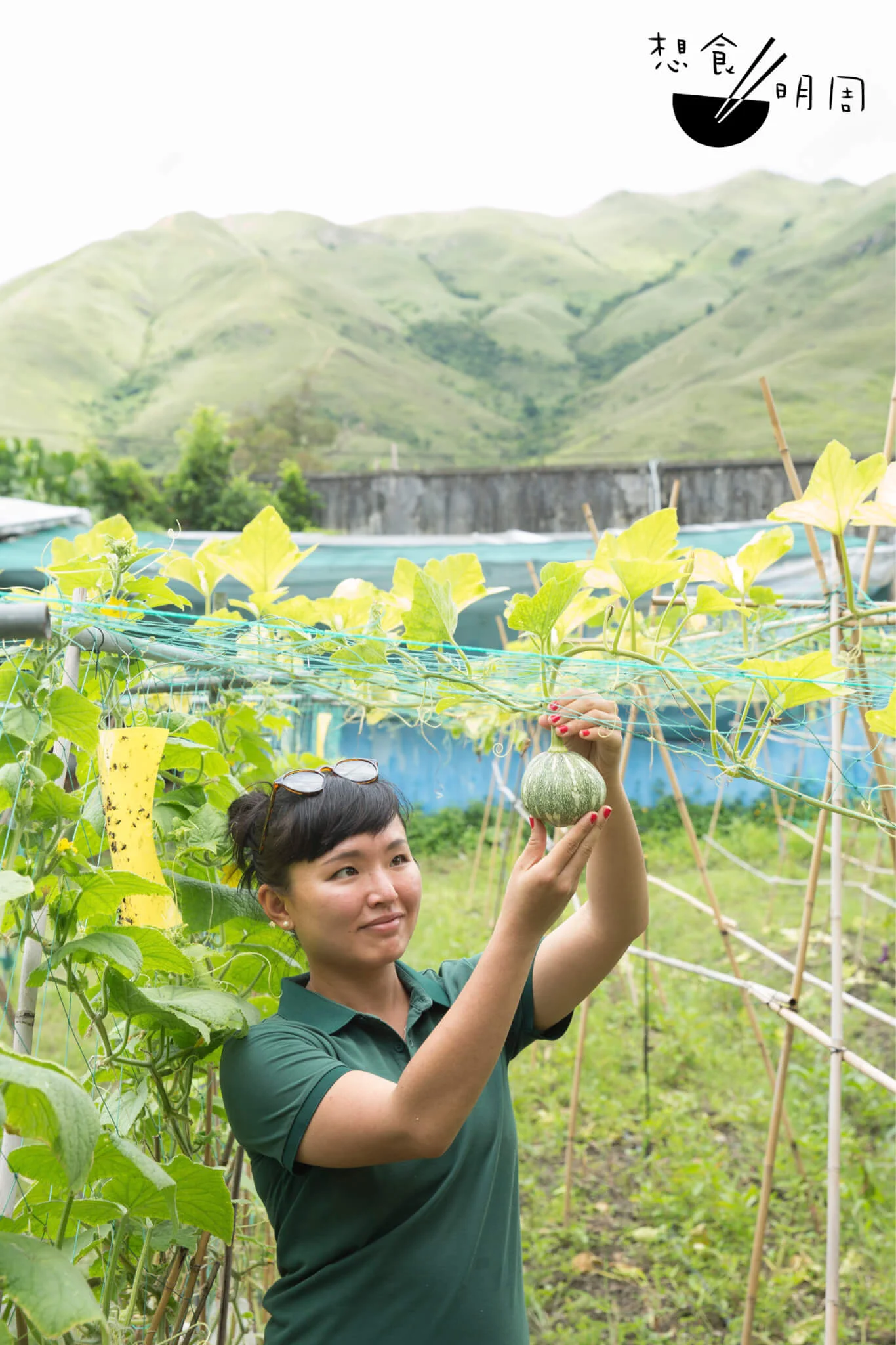 圖中所示，正是以「菜園三姊妹」為概念而架設的種植居。然而，因全球溫室效應而形成的極端天氣，今年過早便降臨連場大雨，把粟米及豆角把一併摧毀。六月尾時，只剩棚上一粒小南瓜。