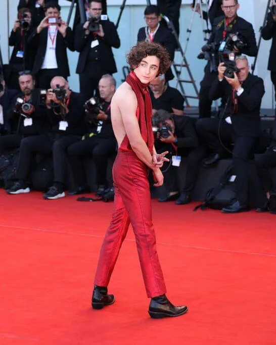 timothee-chalamet-attends-the-bones-and-all-red-carpet-at-news-photo-1662138907