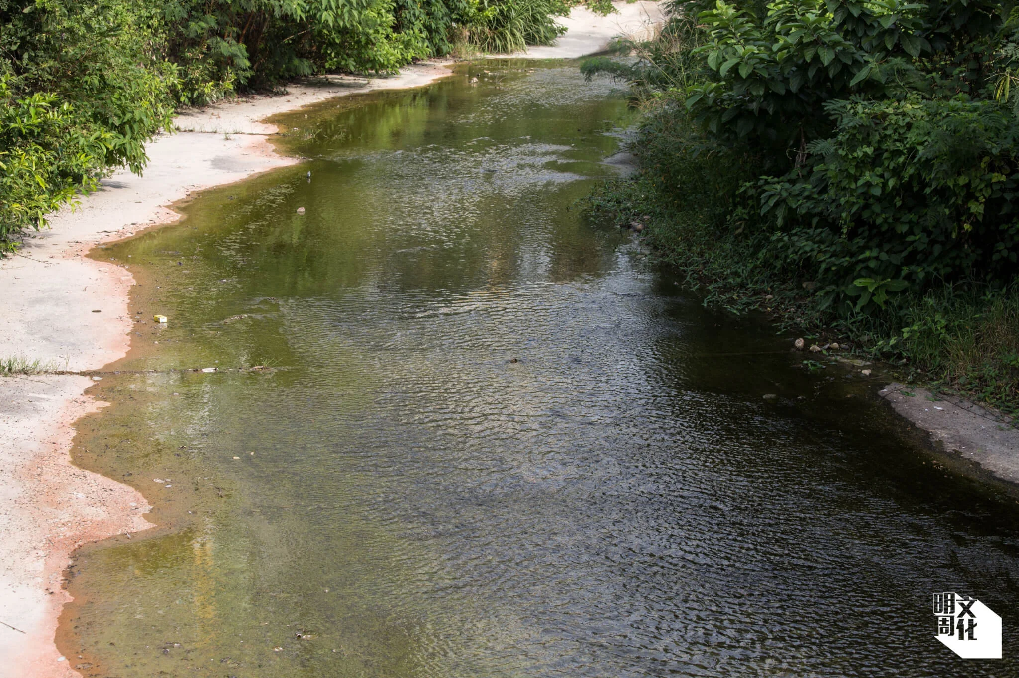 已被渠道化的河段長約六百五十米，位於東涌河下游近石榴埔一帶。