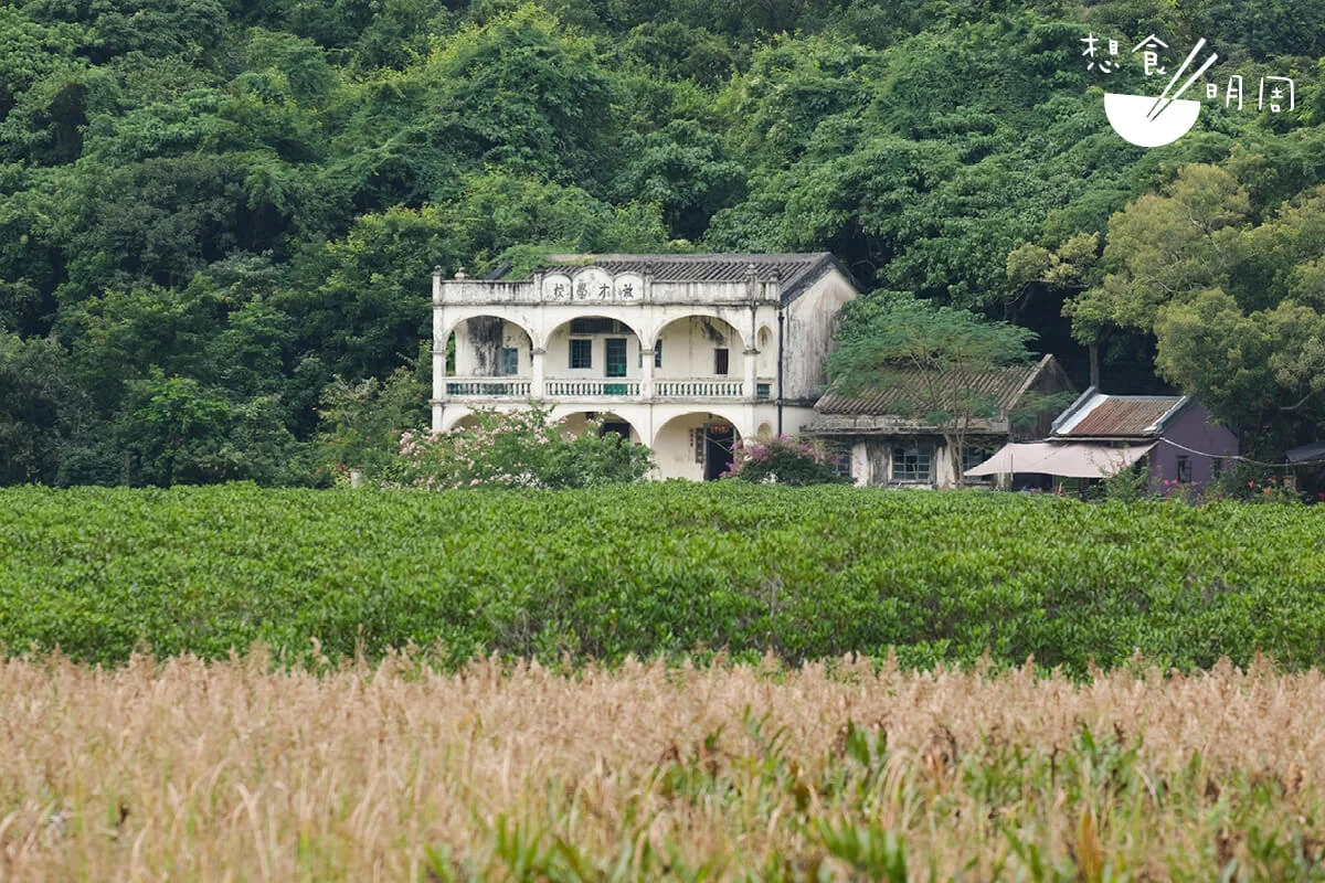 建於一九三二年的啟才學校，是谷埔及附近村落的唯一一所學校，歐陸式風格，具拱型門廊和裝飾；雖已荒廢良久，但遠望依然雅致美麗，至今仍是谷埔的地標。以此為起點，正是長堤的開端—滄海與桑田的分界線。