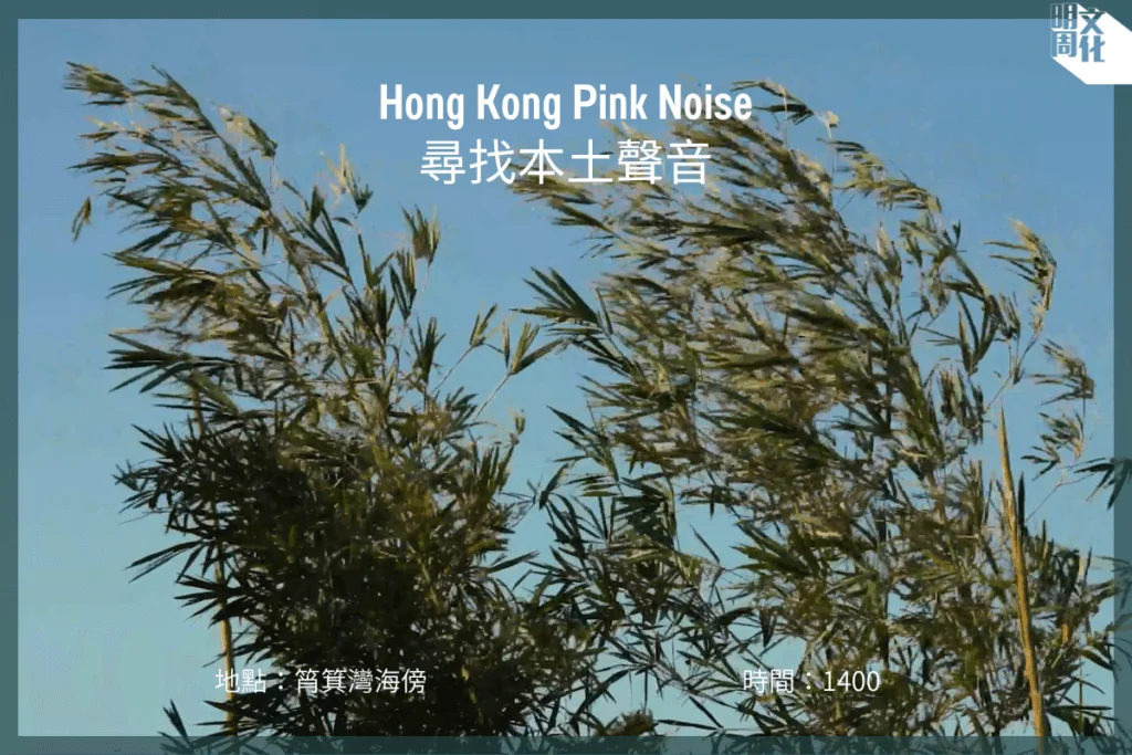 hk-pink-noice_fbvideowp-feature-image