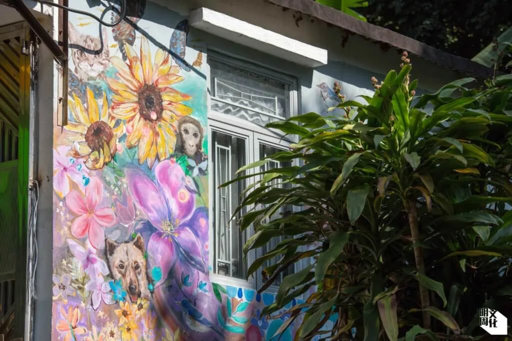 葉雯在自家外牆繪上壁畫，呈現村中常見的事物，包括猴子、蝴蝶、狗隻等等。
