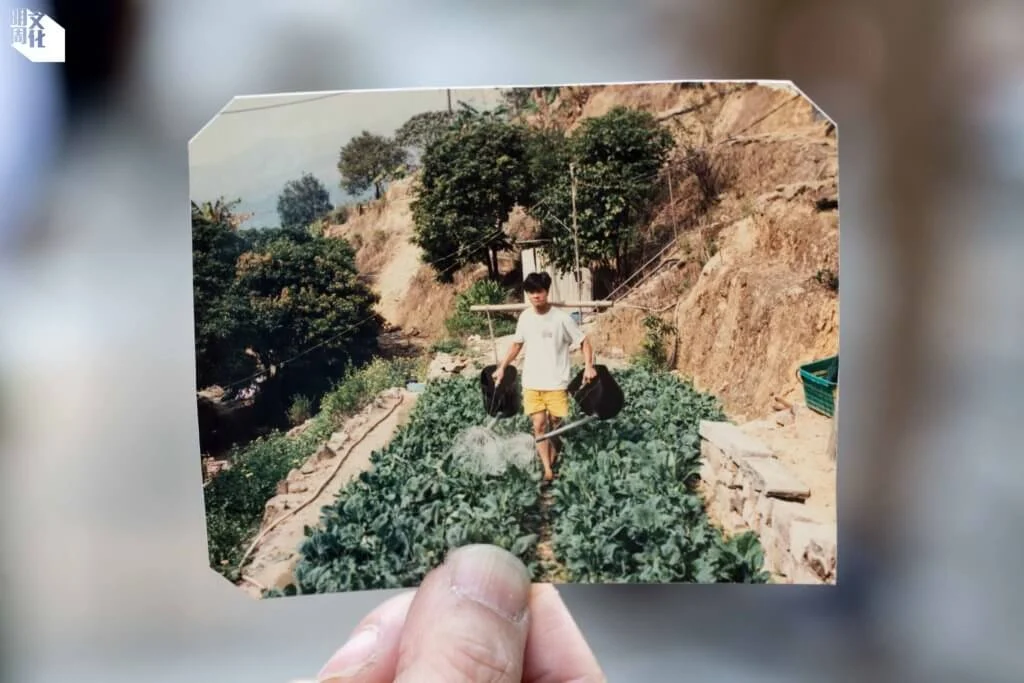 一張三十多年前的舊照，鏡頭下正是葉雯的爸爸，正在家中後園的菜田務農。