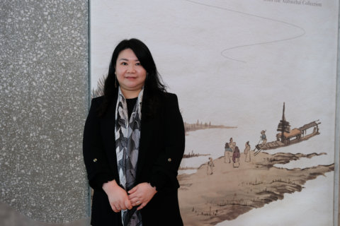 香港藝術館館長（虛白齋）麥詠雯指出，展覽採用嶄新的主題及展示方式，希望引發觀眾更多的想像。