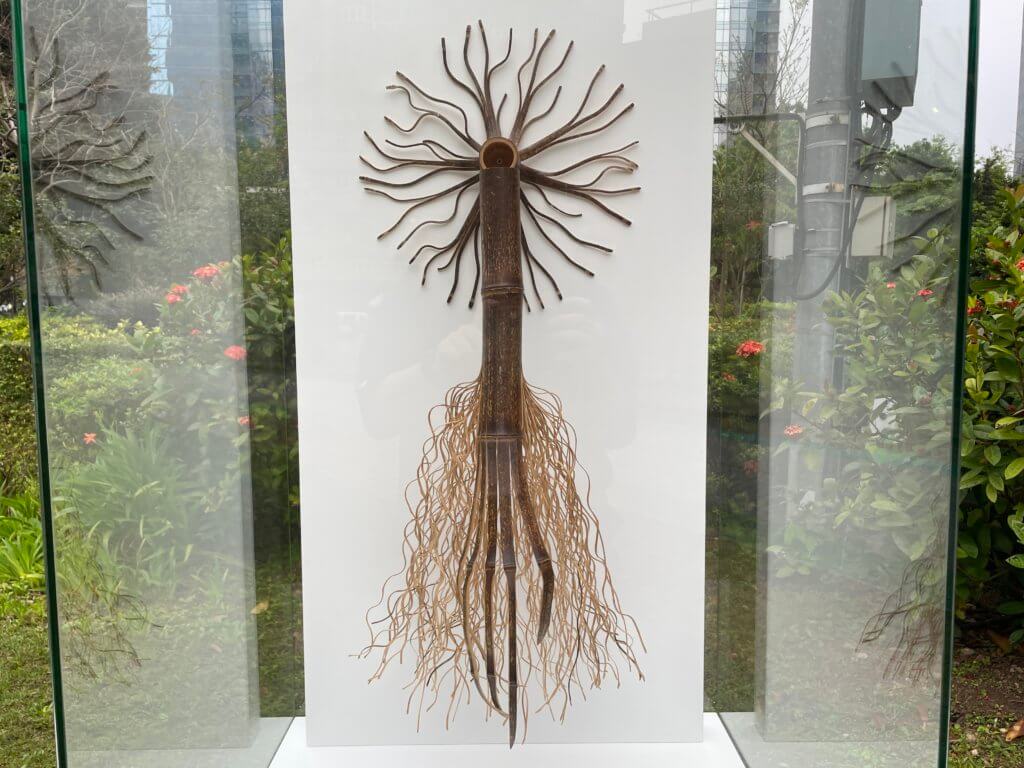 本港竹工藝術林嘉裕的作品—「神樹（一）」