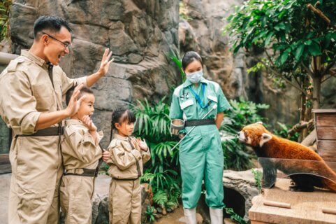 海洋公園去年推出「小熊貓護理員」活動，大受歡迎。