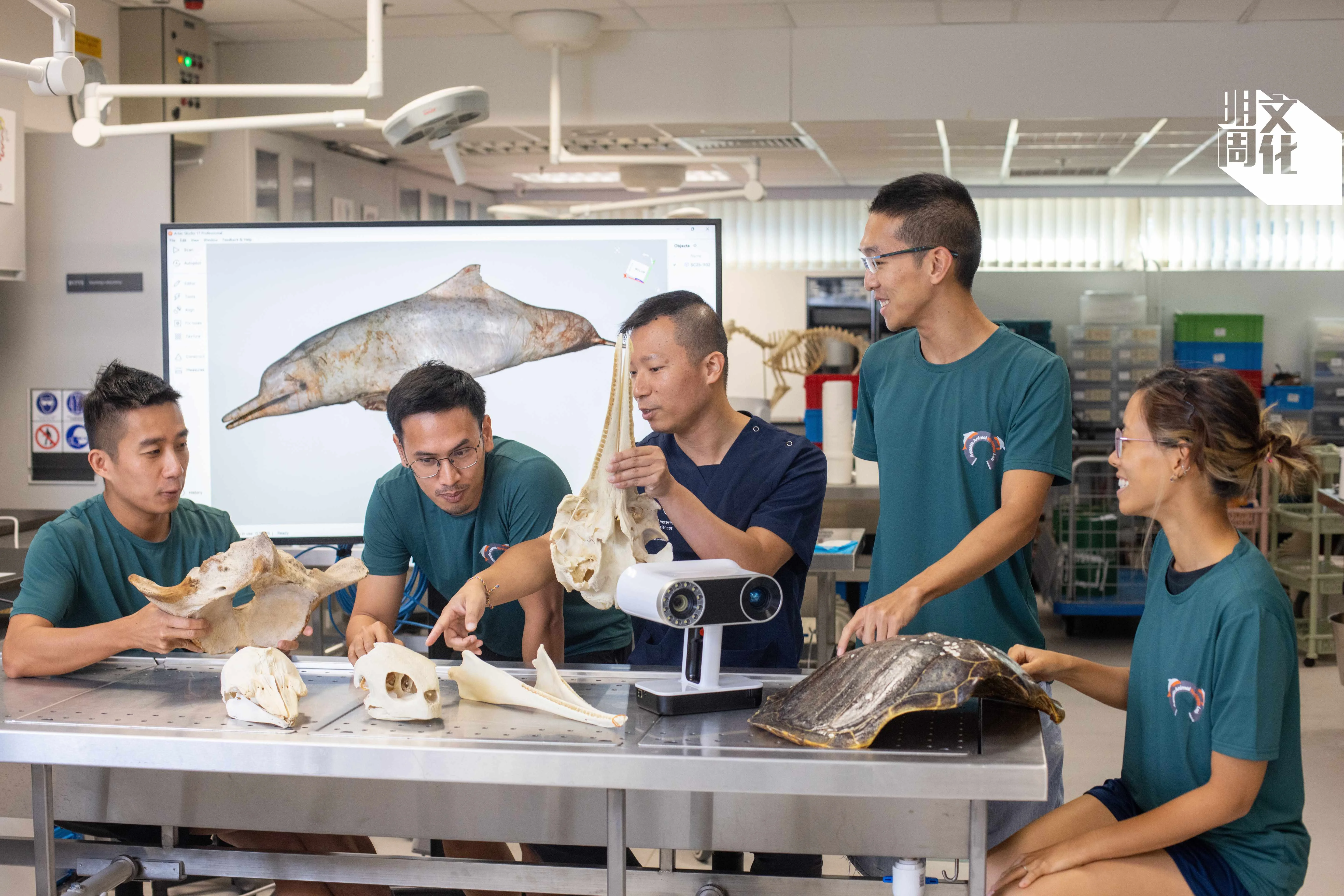 葛展榮（中）與團隊成員仍在處理鯨魚的影像解剖工作