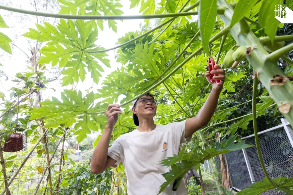 馬屎多年來協助不同農場規劃，認為穩定的農地生態系統有助農業 生產。