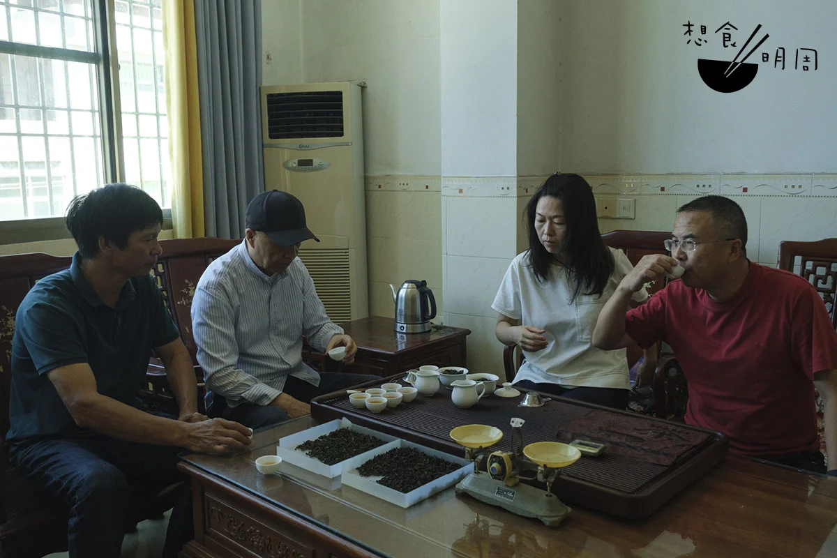 採訪這天，王水金正與一眾專業評茶師品飲昨天採製的傳統鐵觀音， 茶師亦按照標準沖泡三道茶，逐一品評，非常認真。