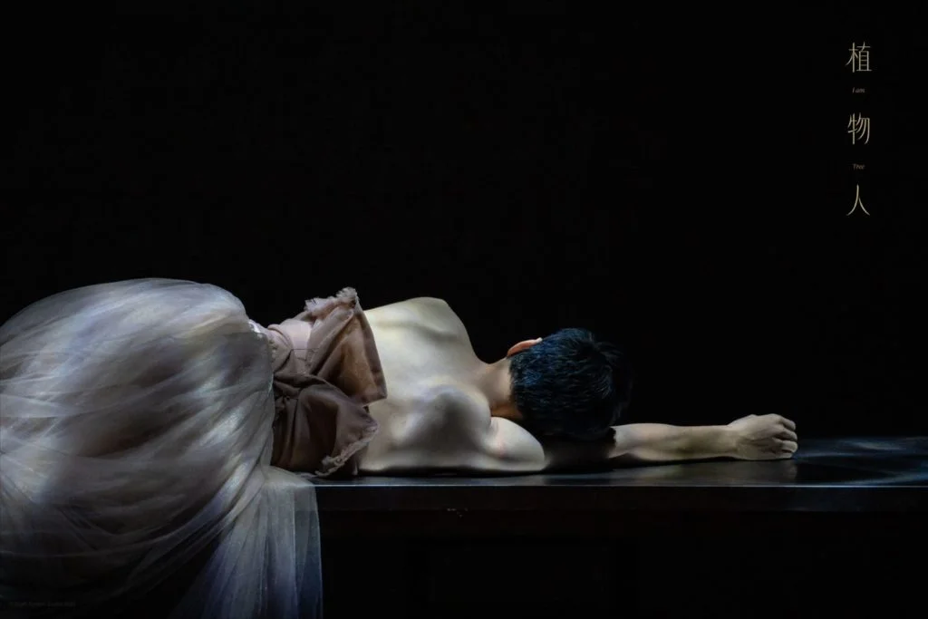 2a02c54c-8047-4d05-bd35-f6ab18f00e0b