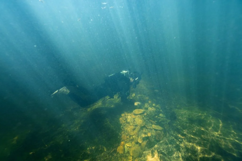 馮滿城潛入水潭深處，嘗試捕捉香港瘰螈不為人知的生活面貌。