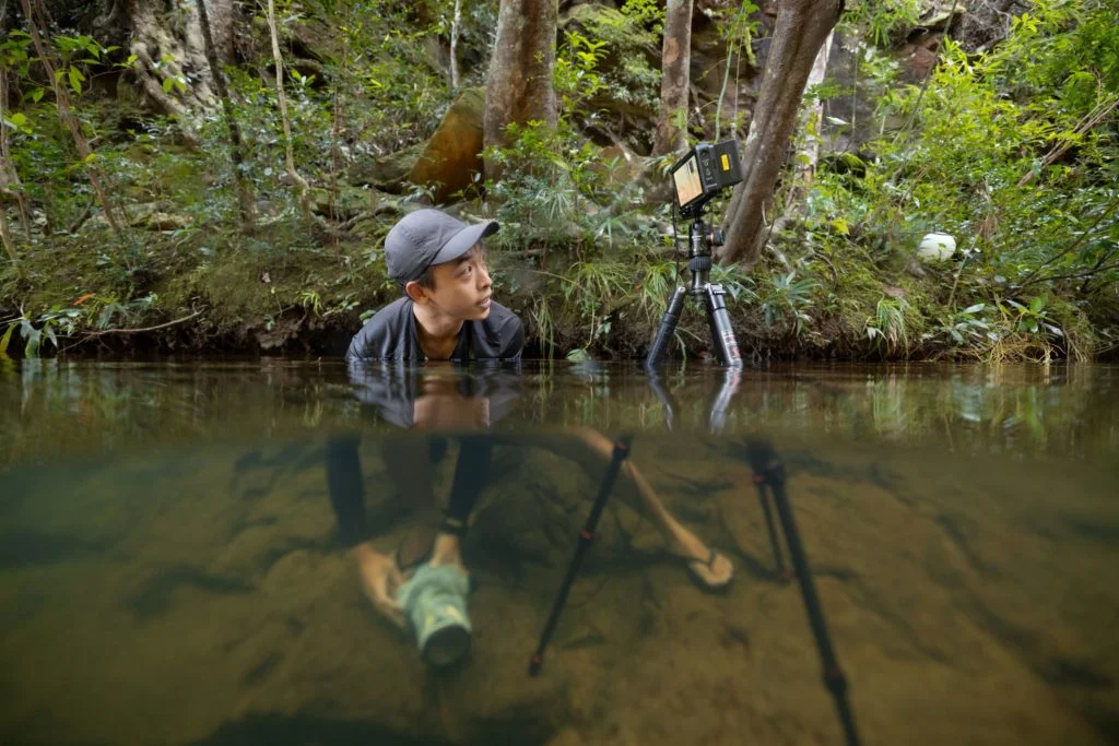 香港生態攝影師及影片製作人馮漢成，發起《一生螈命——生態藝術展》眾籌及展覽計劃。