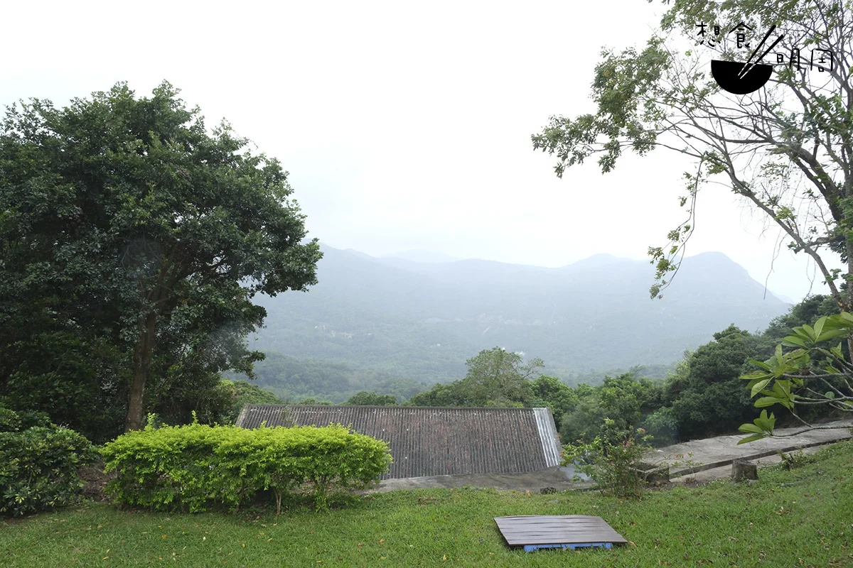 覺修寺國際禪院位處的大嶼山鹿湖區，可以說是香港禪宗的發源地。