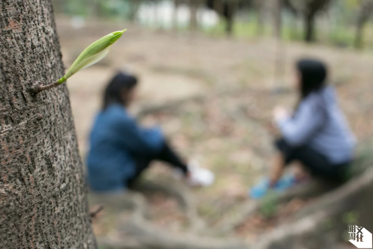 親友突然找你會面，要多想一層，或許對方想傾訴心事，盡量抽空見面，了解有否情緒危機。