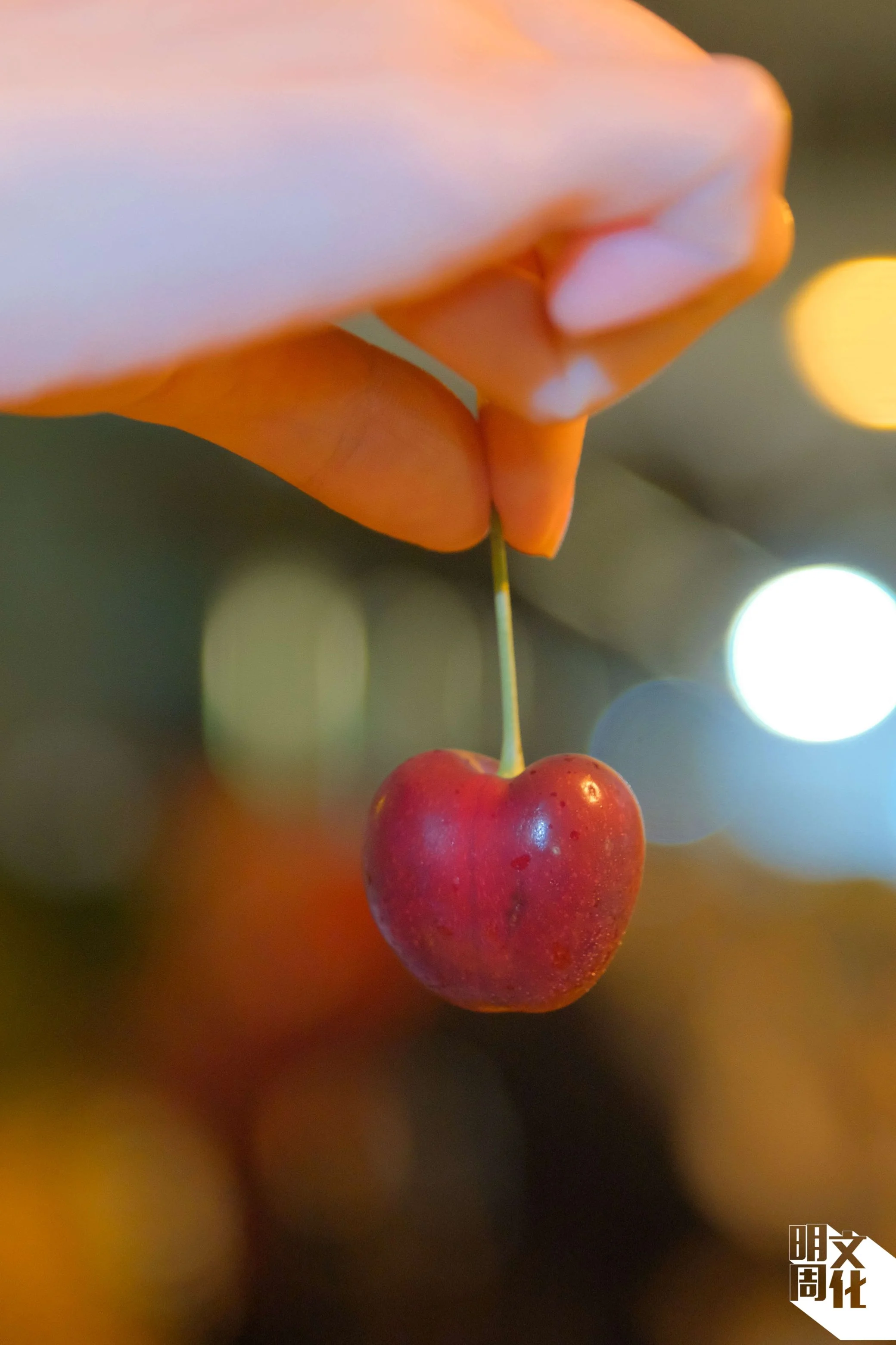 有團友慷慨與記者分享,公園裏上演廣告經典一幕—你要唔要『蝕一甩』。