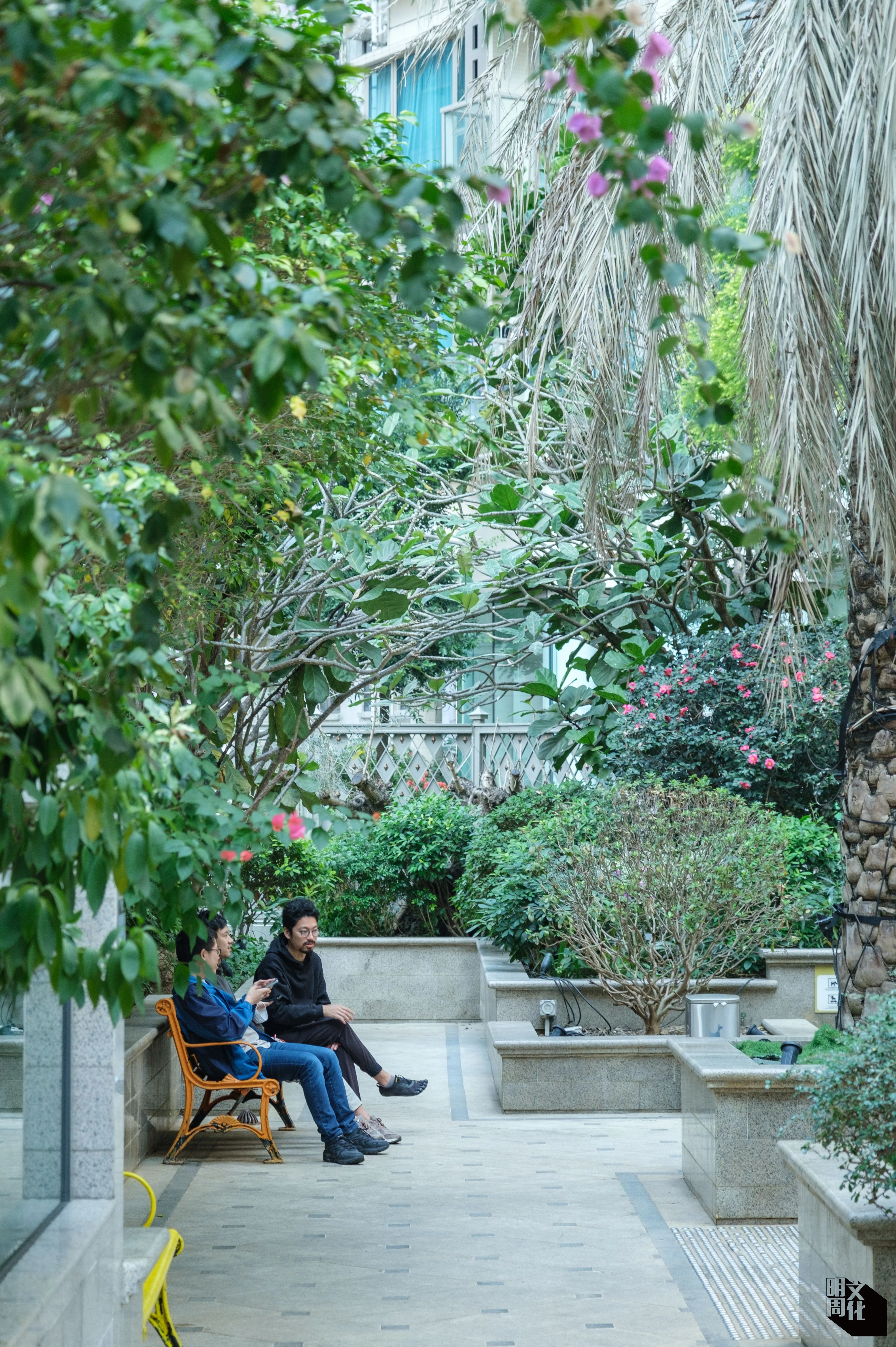 利東街五樓的平台花園植物豐富，營造出半開放、半私密的空間感。