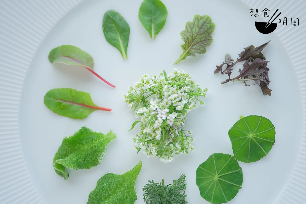 蔬菜、食用花卉、香草，俱被Anne-Sophie Pic視為靈感繆思。她現時與香港農莊研究種植各種食用花卉的可能性。