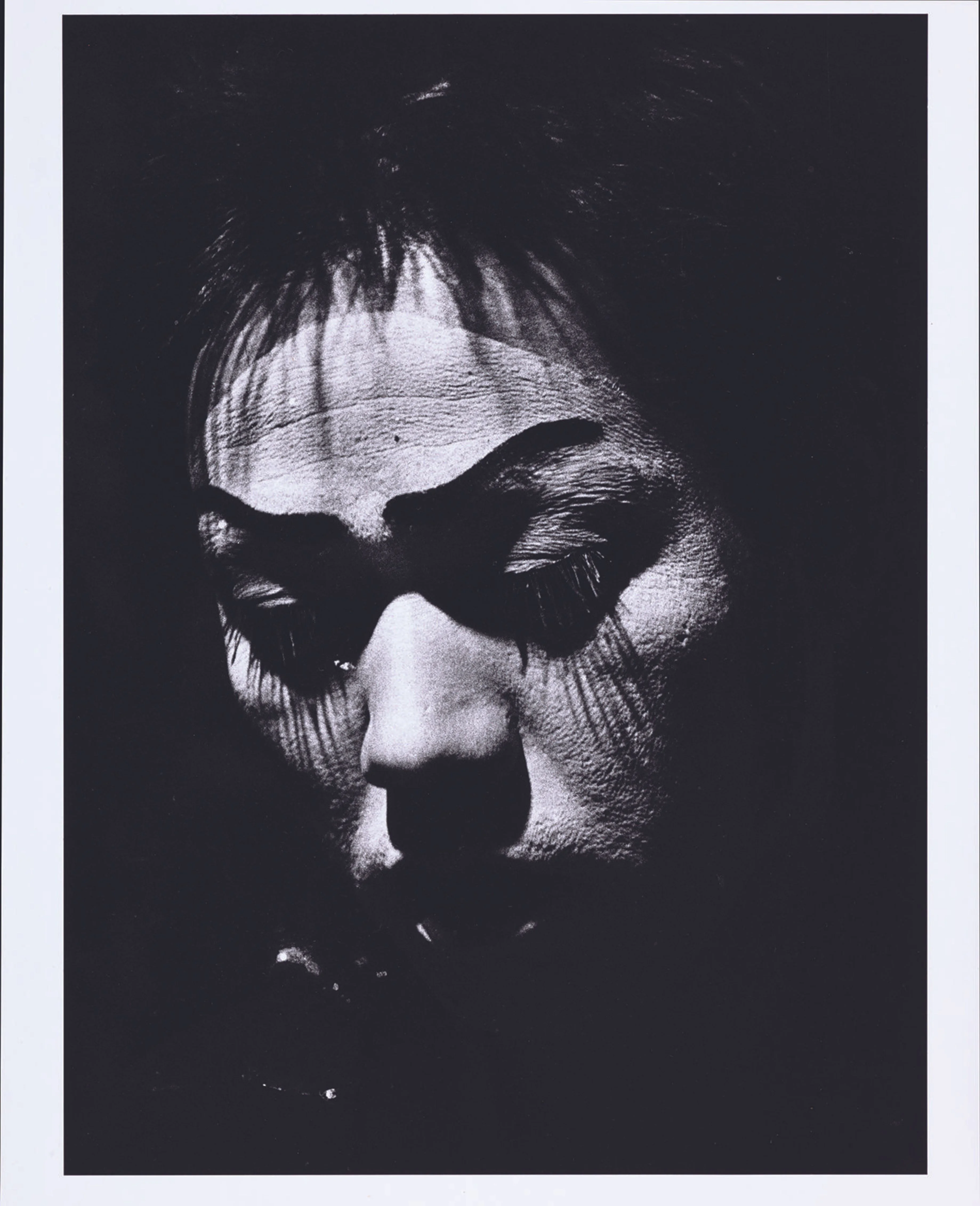 森山大道《日本劇場寫真帖─演員的肖像》1968年攝、1970至1980年印／法國國家圖書館，巴黎©Daido Moriyama Photo Foundation
