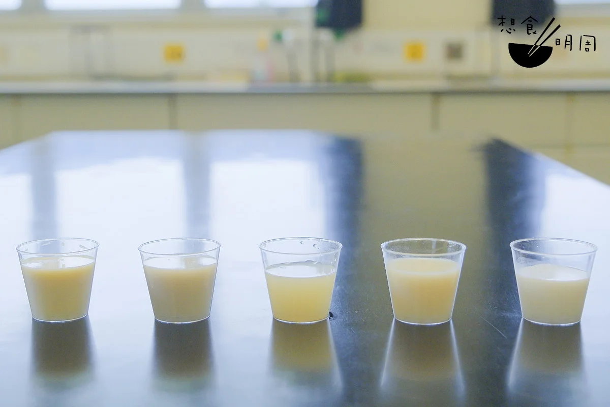 （左至右）豆奶、杏仁奶、燕麥奶、米奶、椰子奶。導師特別準備無糖口味讓大家試飲，然後進行測試，從而認識蛋白質。