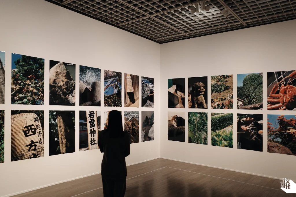 以《無題》命名多幅垂直構圖的彩色攝影，為中平卓馬晚期作品。