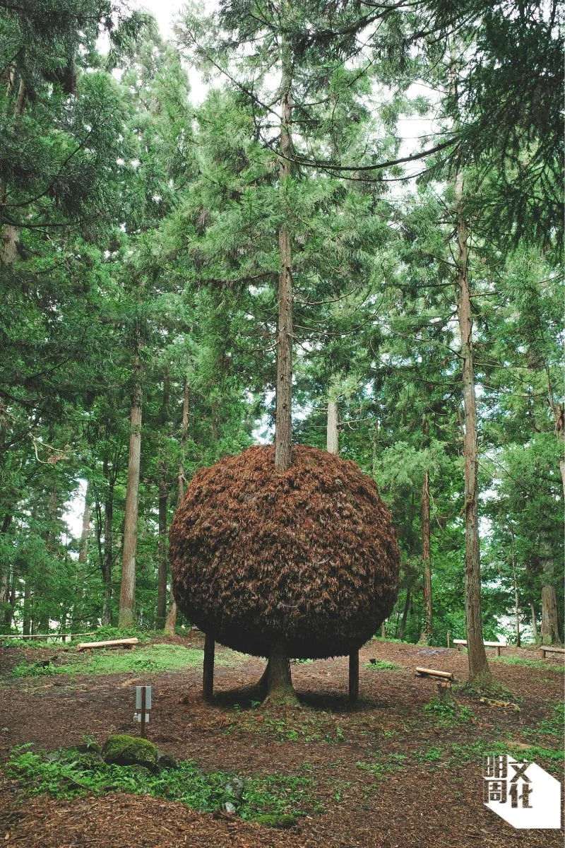 在笹山高靇神社旁,日本藝術家景山建借用樹幹製作出巨型杉玉的「HERE-UPON ここにおいて 依り代」。
