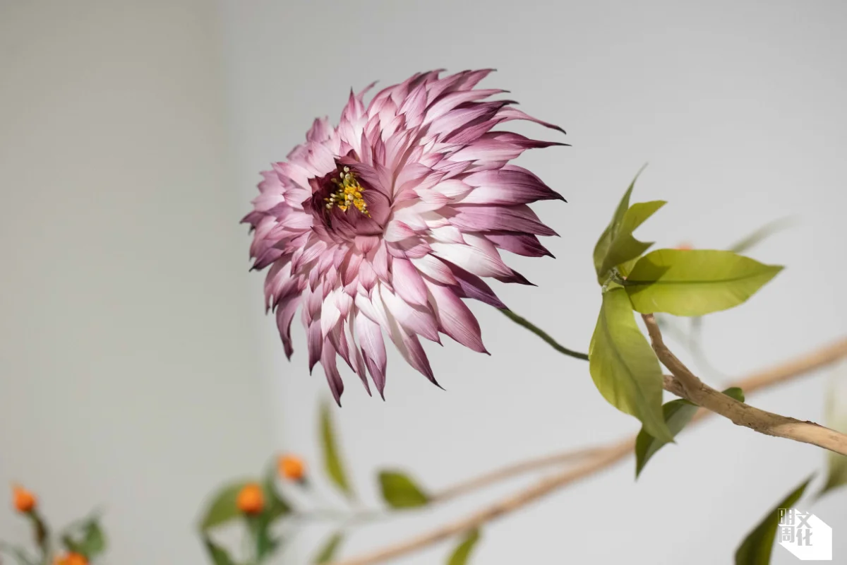 法國羽毛藝術家Nelly Saunier創造的巨型花卉栩栩如生,令人驚豔。