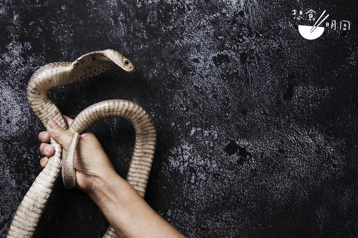 蛇在粵菜中歷史悠久,於秋冬更有極具代表性的蛇羹,但現代社會講求動物保育文化,是時候思考飲食文化的傳承問題。