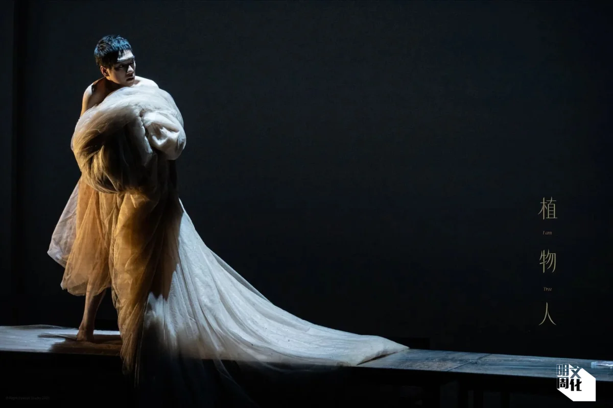 以韓江《素食者》為藍本的劇作《植物人》,主角女人由男演員蔡明航飾演。(劇照由Carman So拍攝)