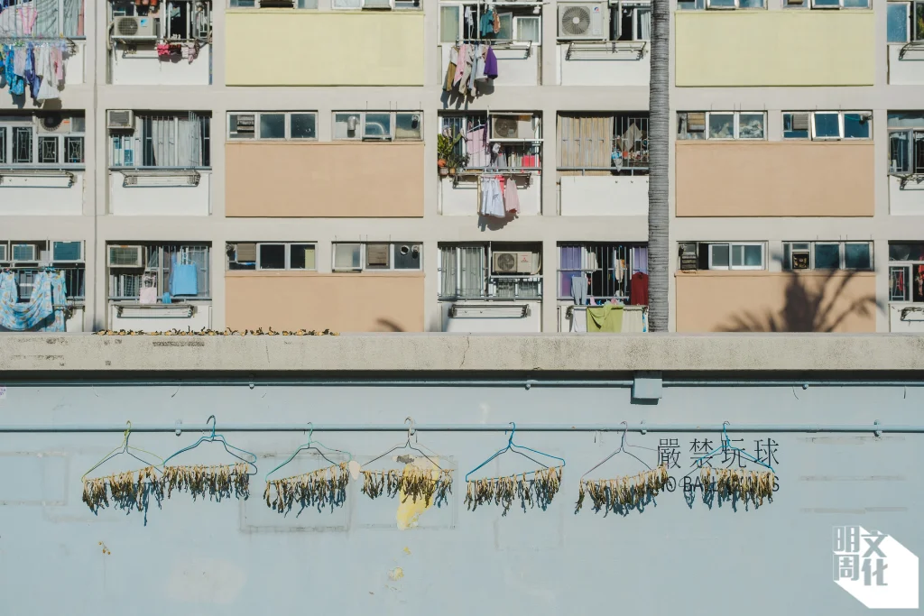 %e6%a9%ab%e5%80%92%e7%9b%b8logo-12