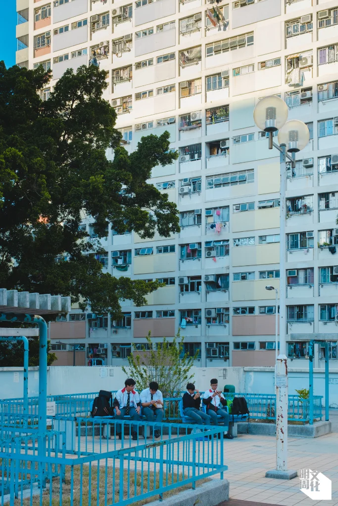 %e7%9b%b4%e5%80%92%e7%9b%b8logo-6