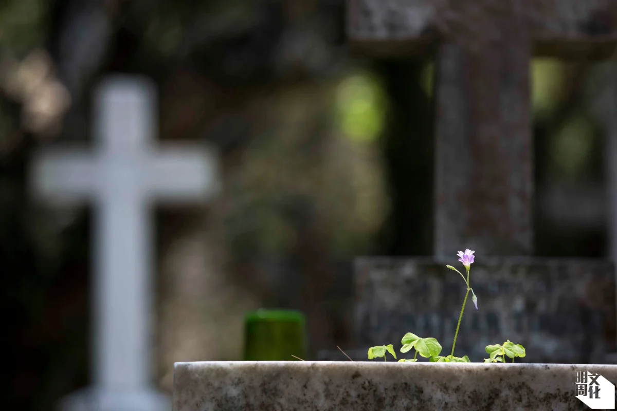 假如我們可以在患病初期，甚至在無病無痛的時候，已經開始計劃人生最後一程，我們會否了解自己更多？人生會否少一些遺憾？