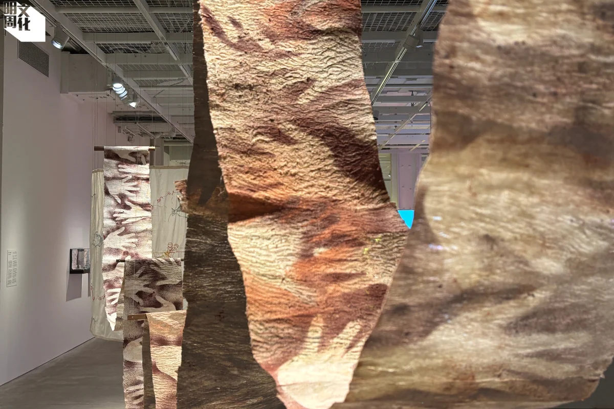 張恩滿《從Lima到Pulima》