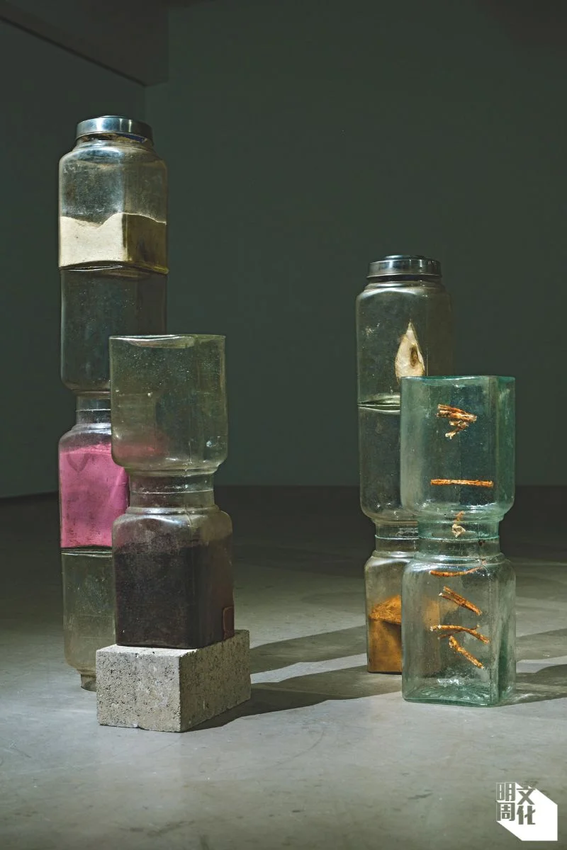 作品《多語者：桑》由多個承載桑樹不同部分的玻璃容器組成；在中醫理念中，桑樹全株皆可入藥。